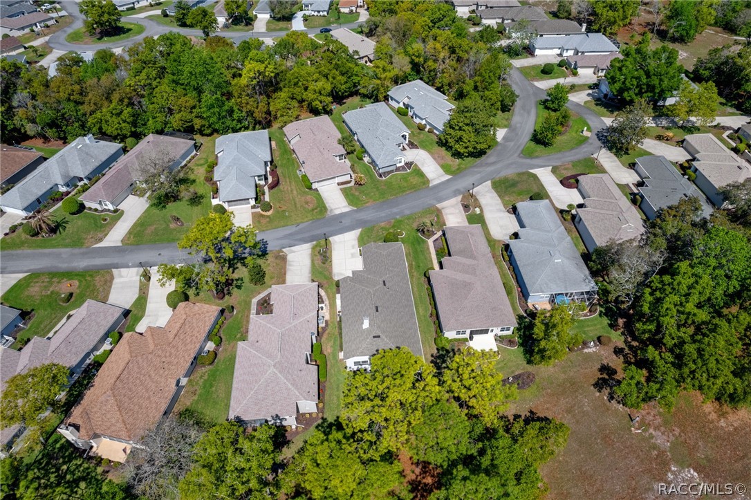 72 W Byrsonima Loop