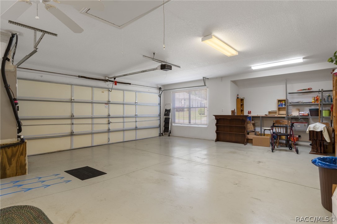 72 W Byrsonima Loop