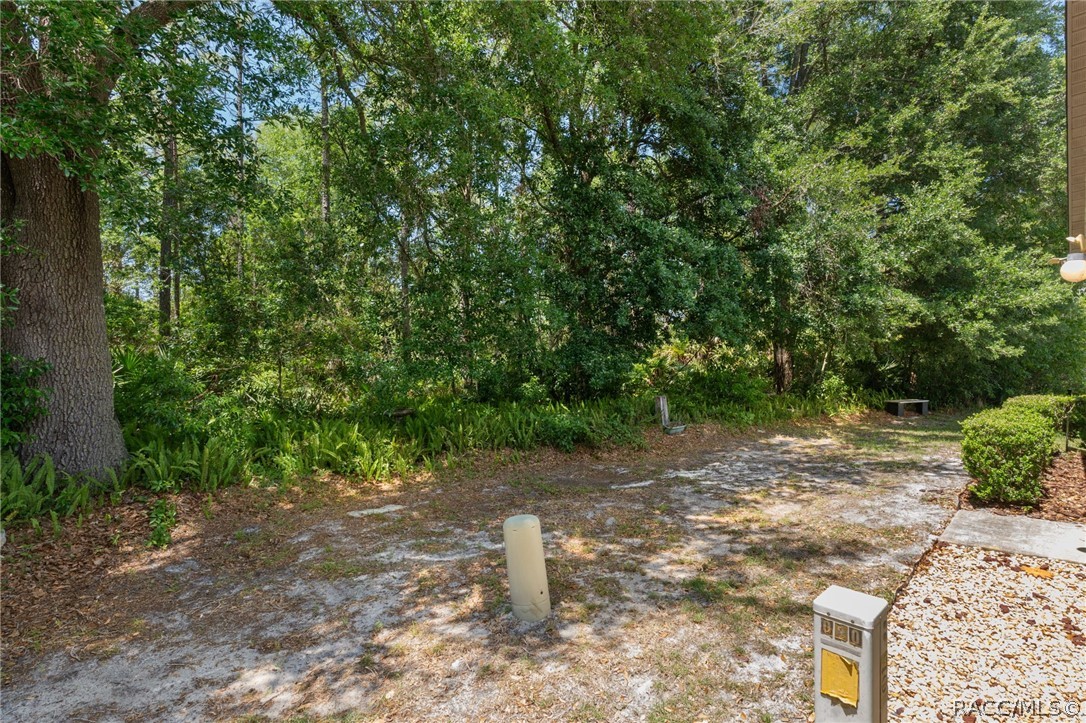 75 Chinaberry Circle