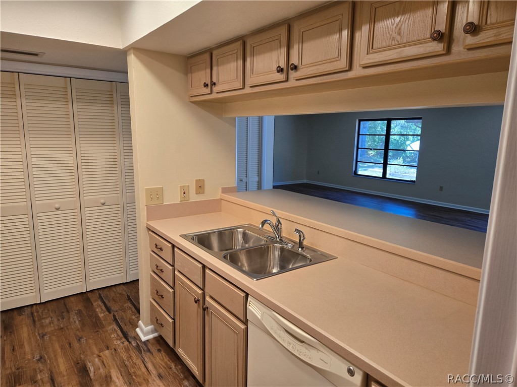 79 Chinaberry Circle