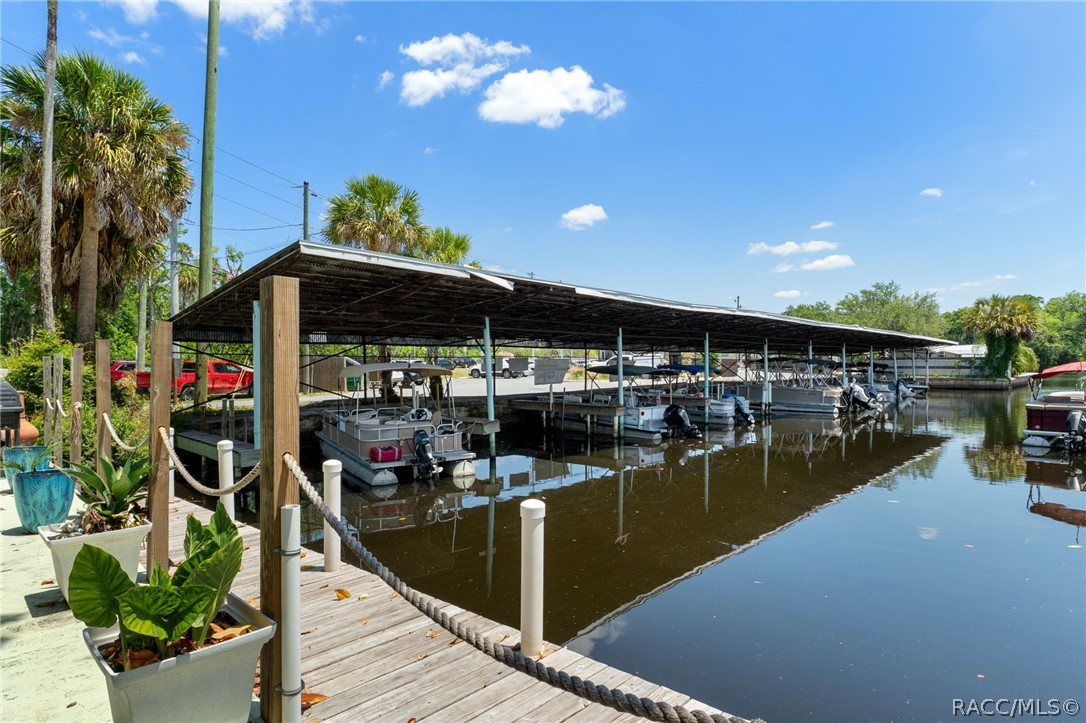 10256 W Halls River Road