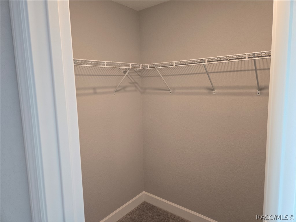 13 Whitewood Court