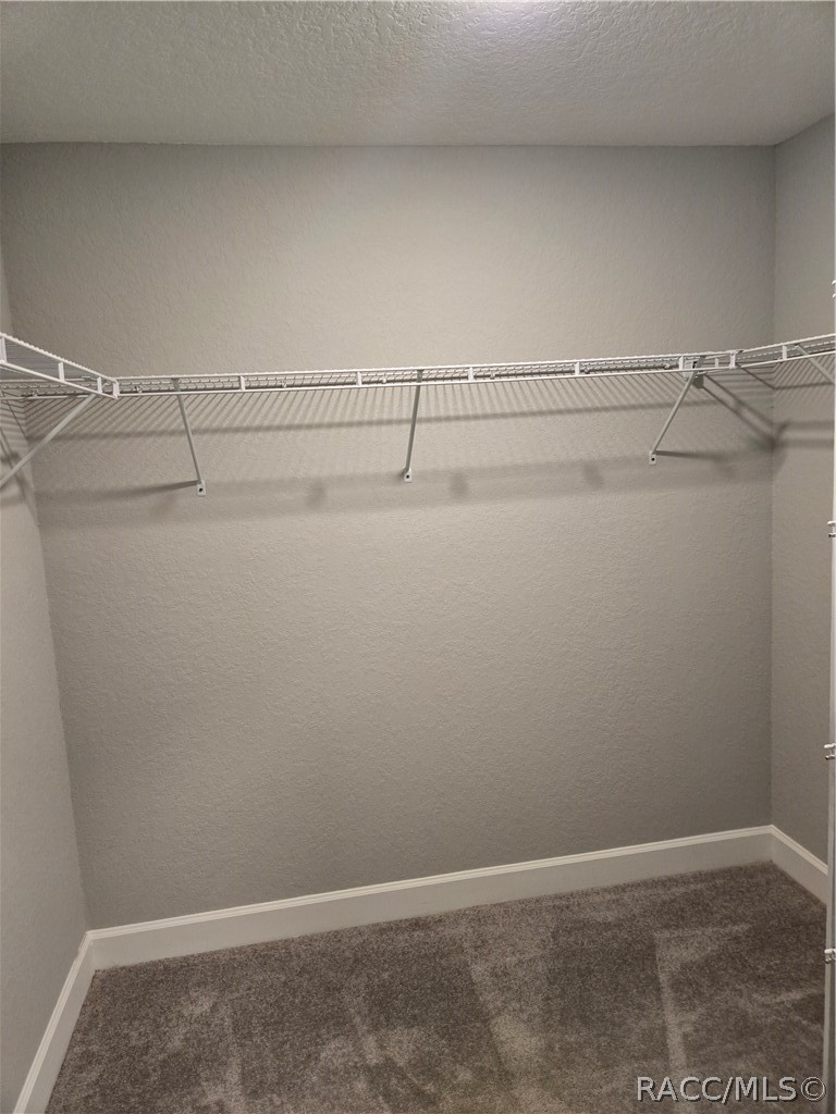 13 Whitewood Court