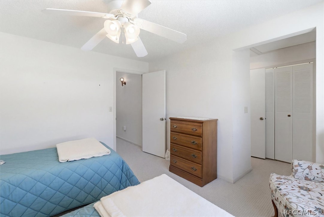 49 Douglas Street 22