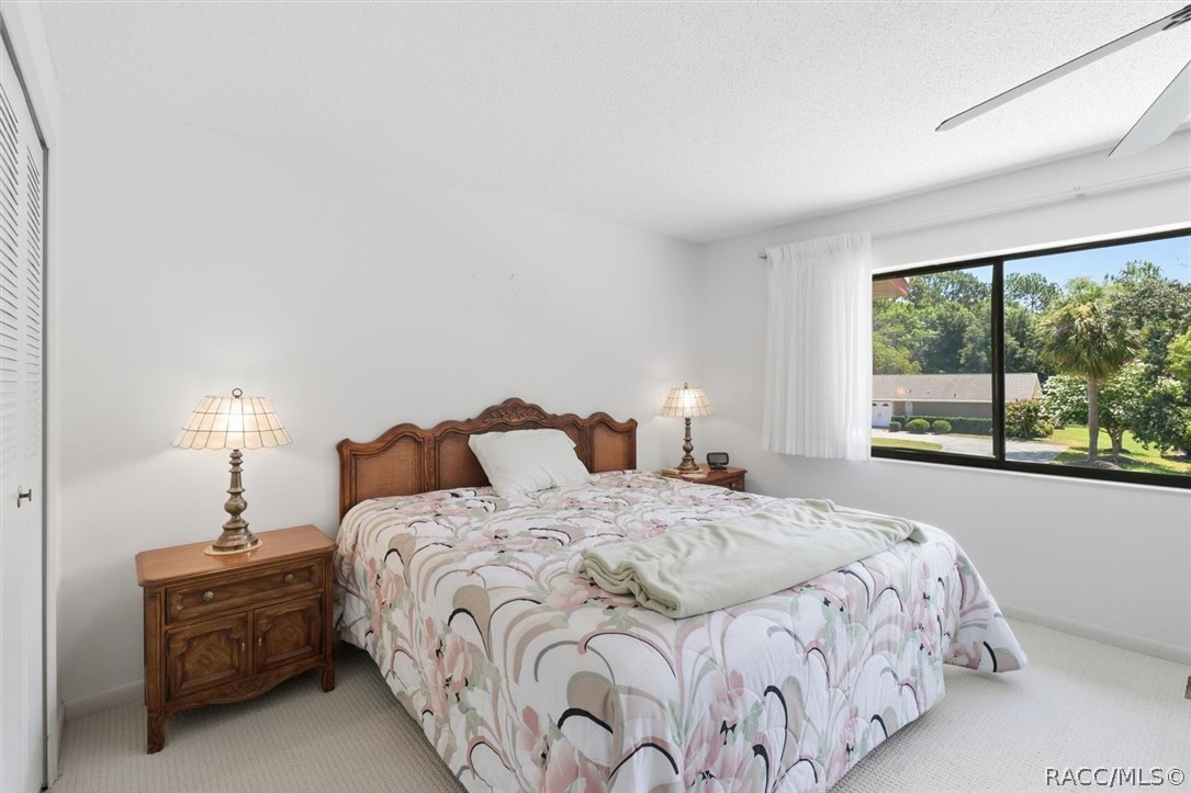 49 Douglas Street 22