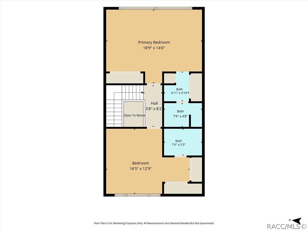 49 Douglas Street 22