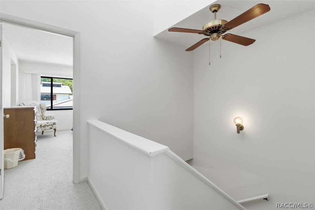 49 Douglas Street 22