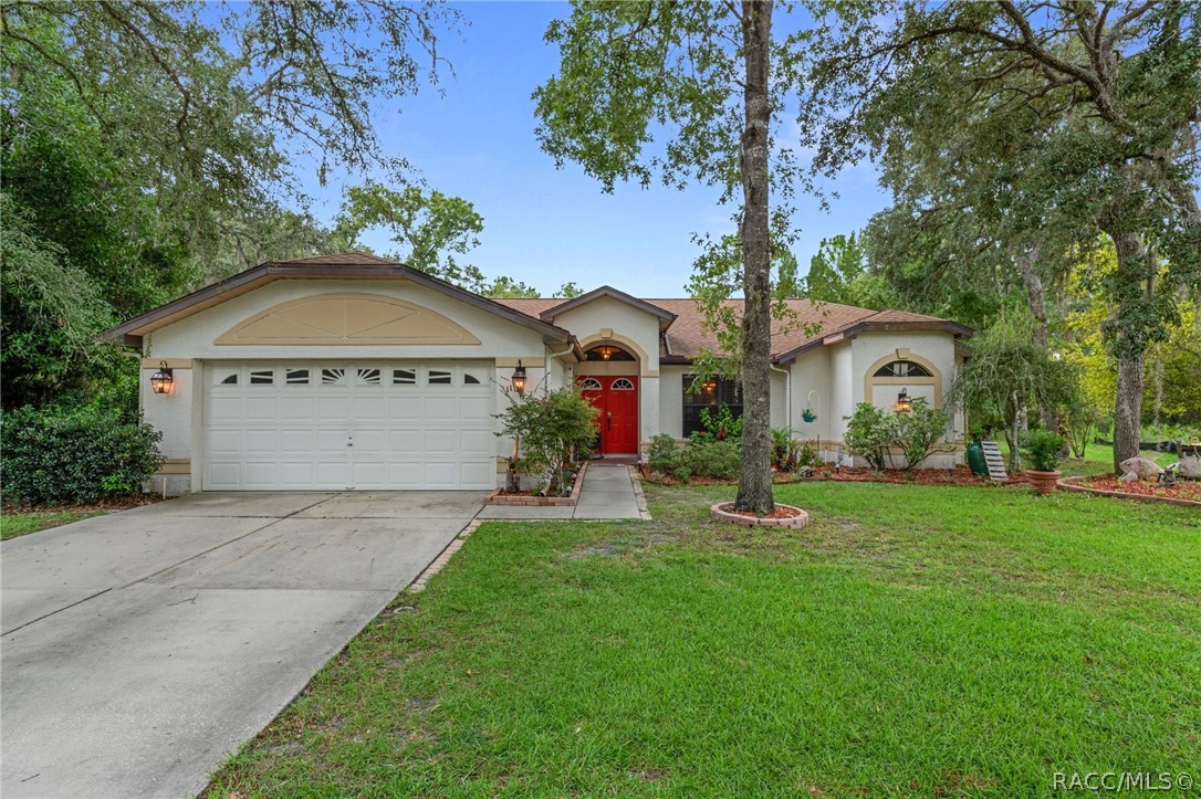 11 Tupelo