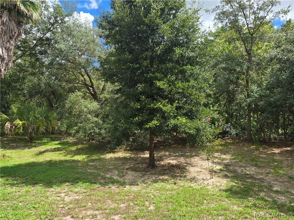 1836 E Monopoly Loop