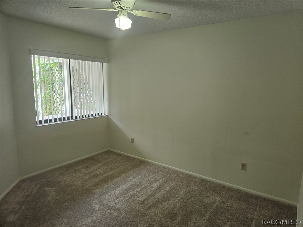 17 Seagrape Street