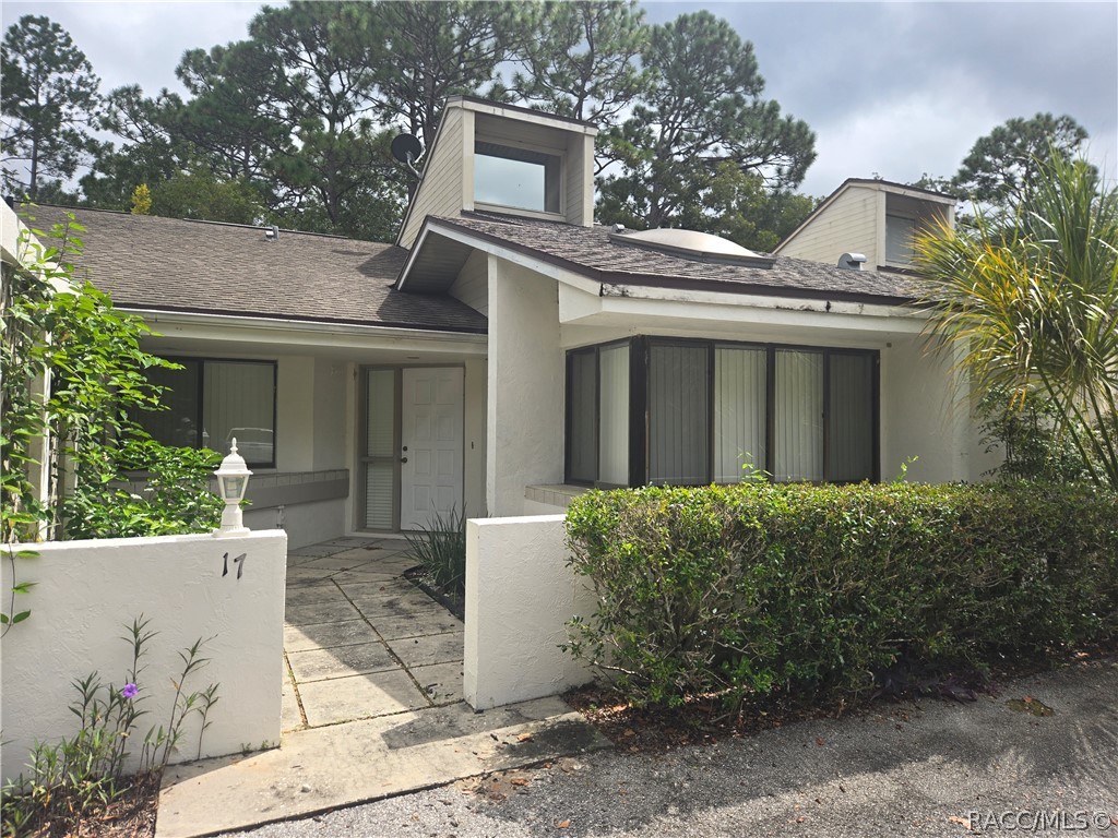 17 Seagrape Street