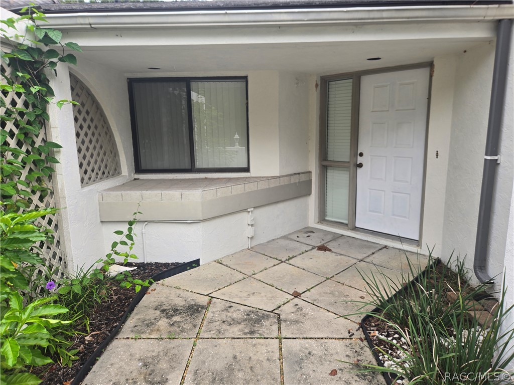17 Seagrape Street