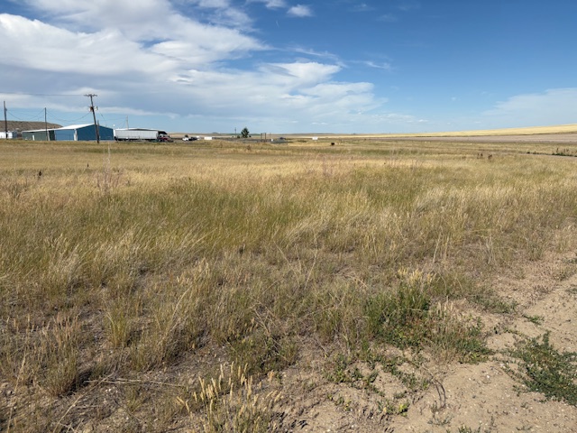 TBD US Highway 87