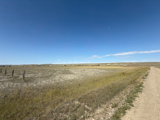 TBD Essex Lane