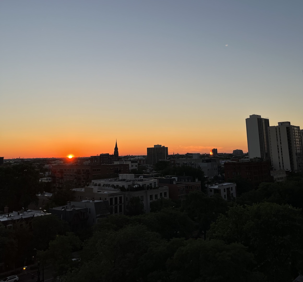 1360 N Sandburg Terrace Unit: 1102C