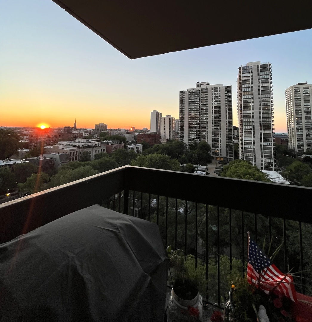 1360 N Sandburg Terrace Unit: 1102C