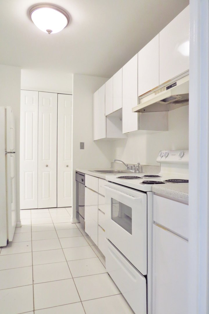 3930 N Pine Grove Avenue Unit: 515