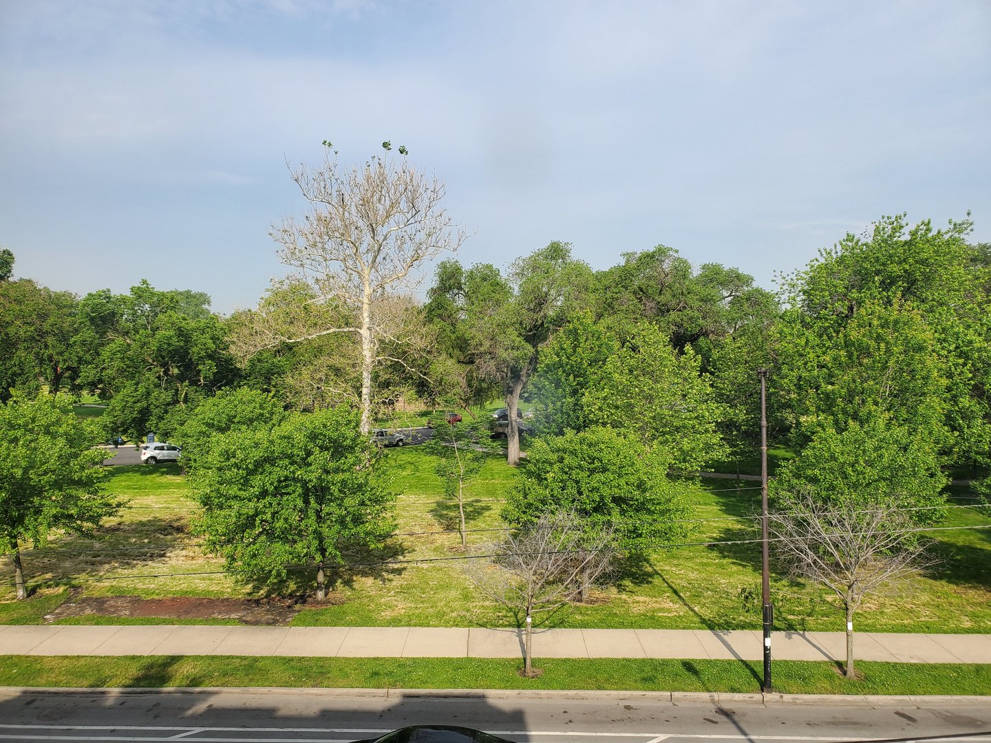 1523 N California Avenue Unit: 3N