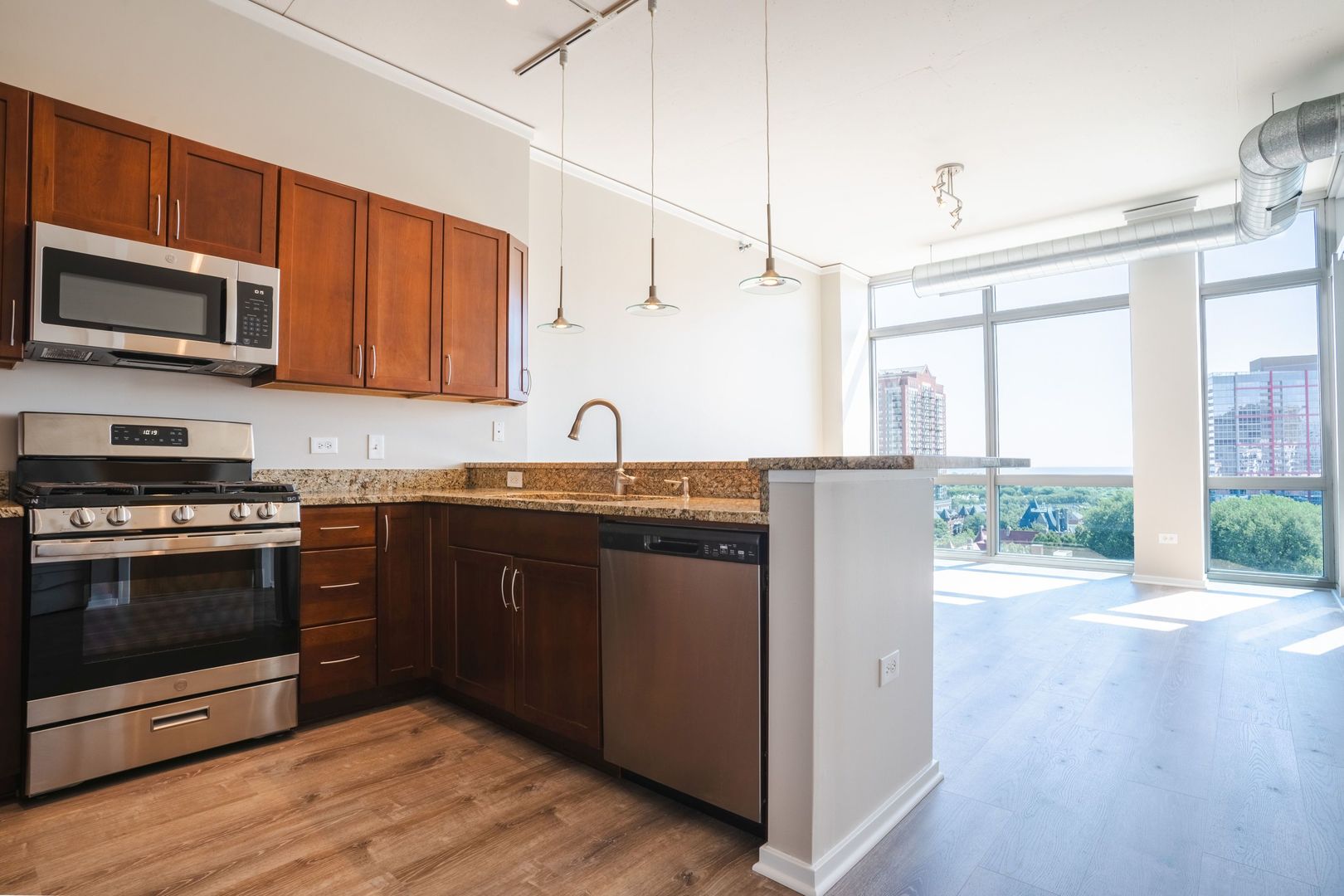 1819 S Michigan Avenue Unit: 1009