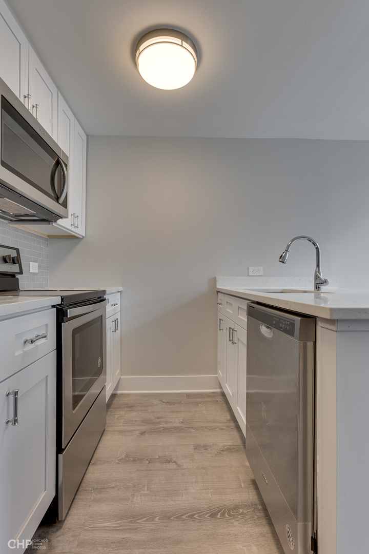 1221 N Dearborn Street Unit: 406N