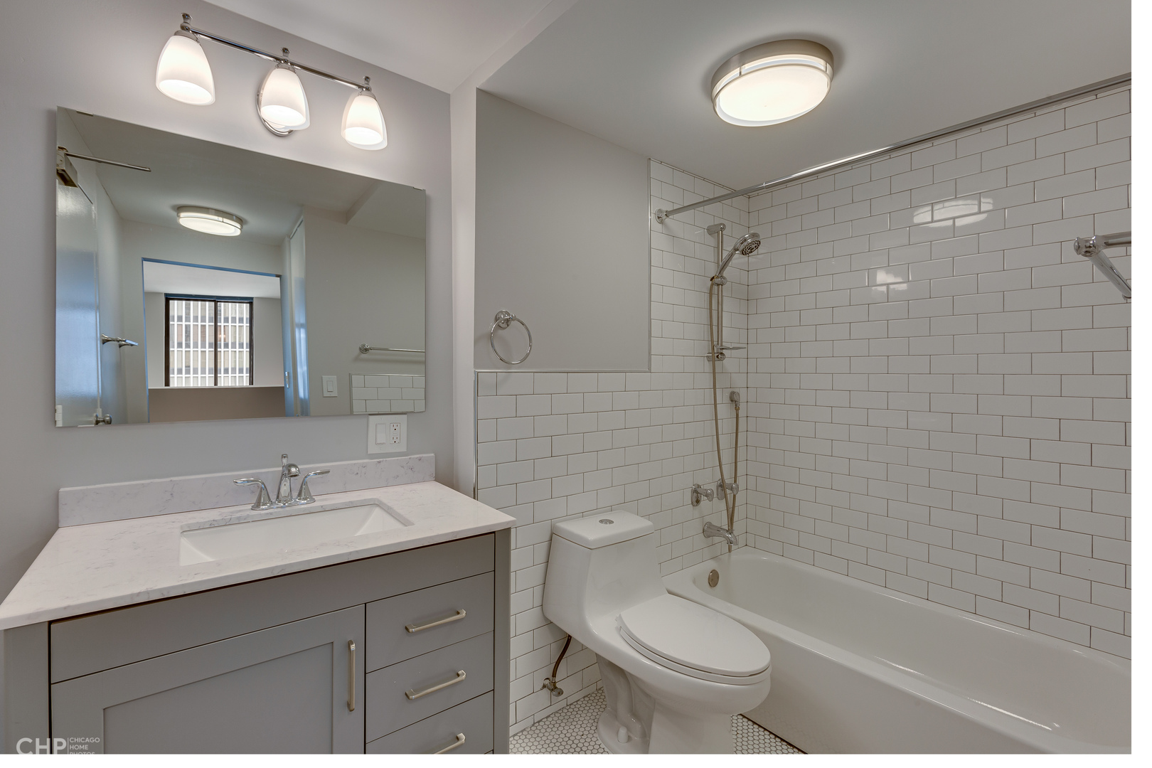 1221 N Dearborn Street Unit: 406N