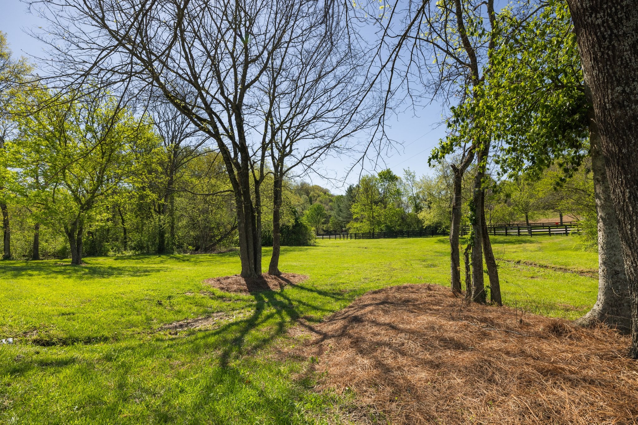 4000 Grace Creek Valley Ln