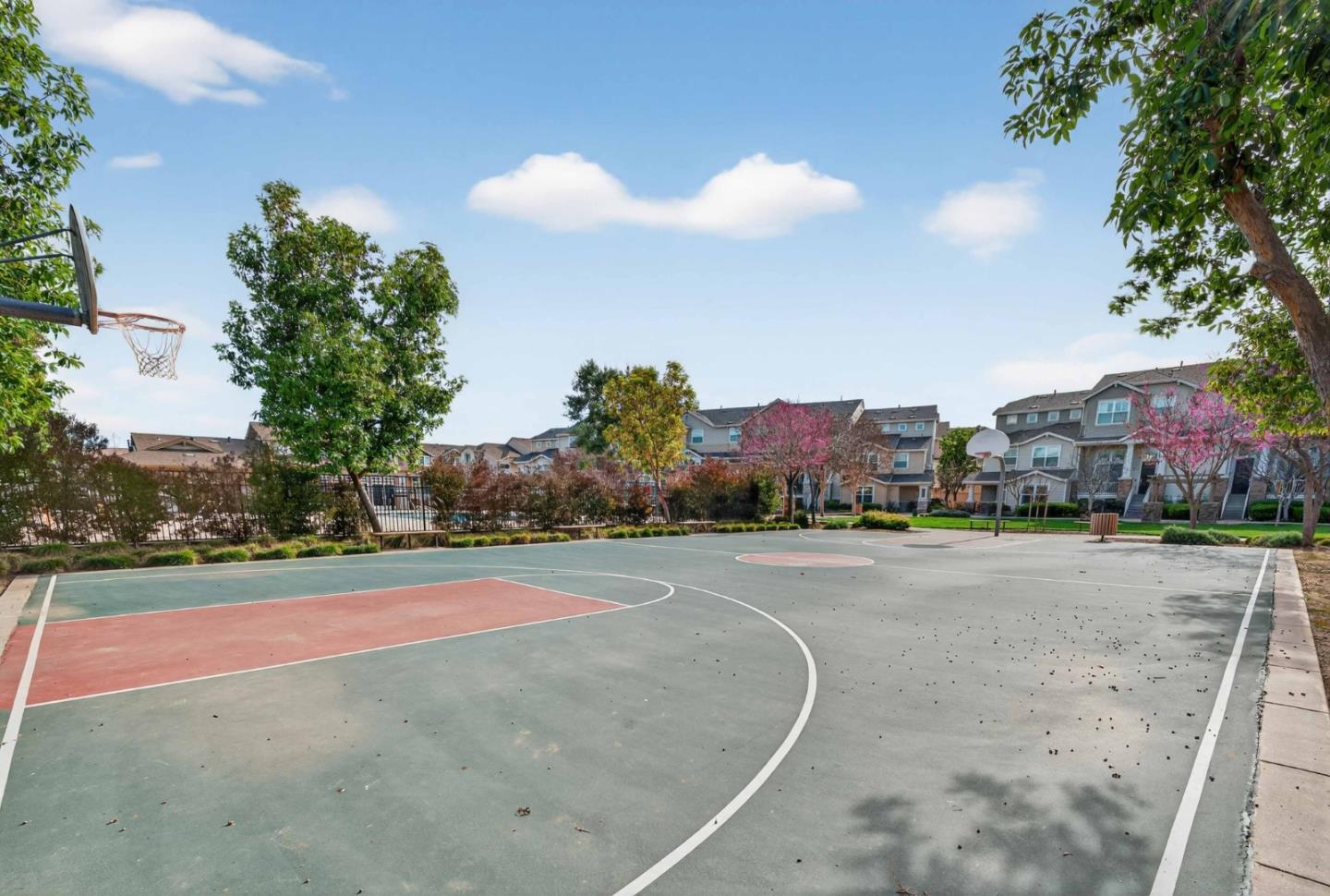 18519 Poppy Jasper Lane