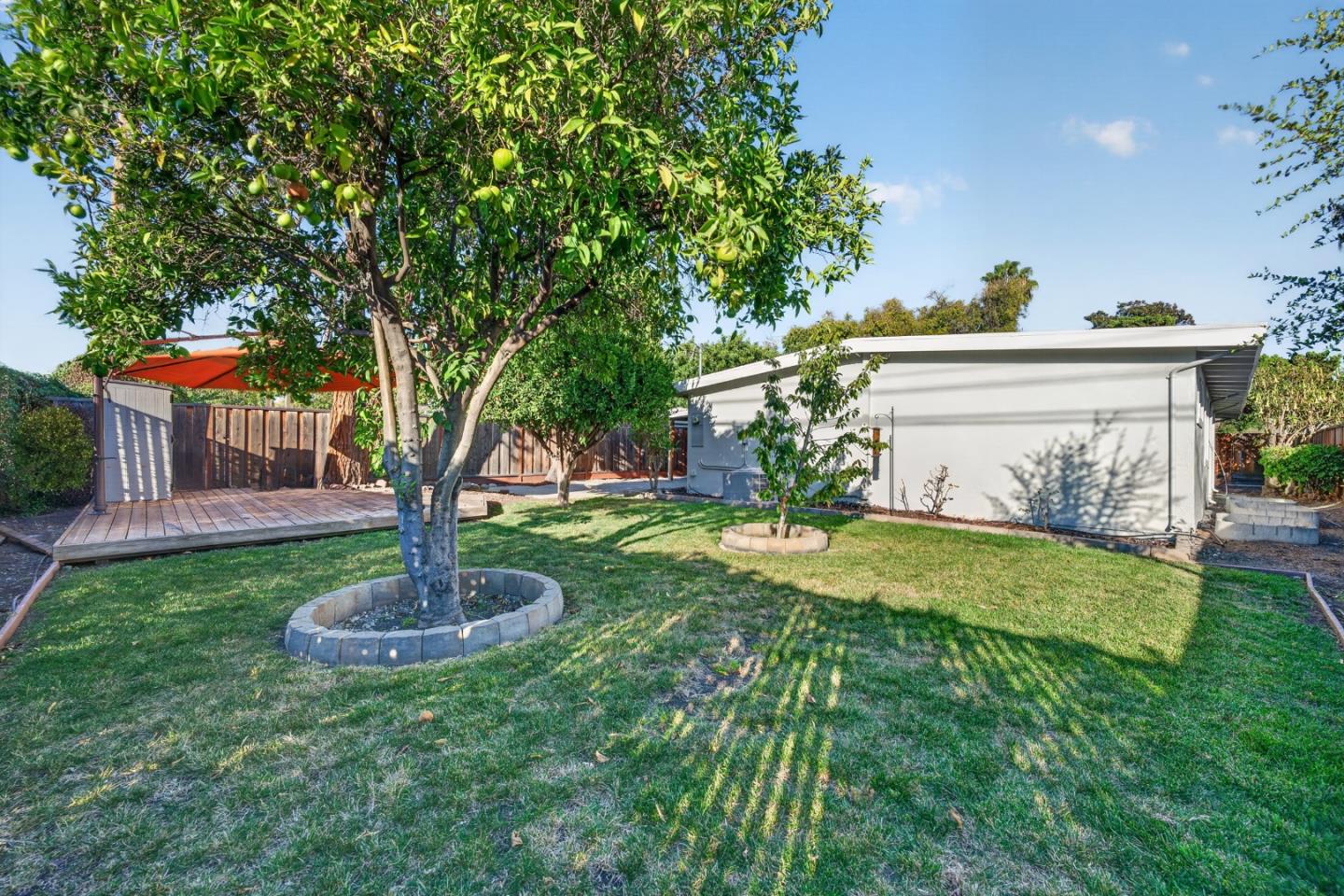 Backyard with a large fruit tree, lawn, and raised wooden deck beside the home's rear exterior.