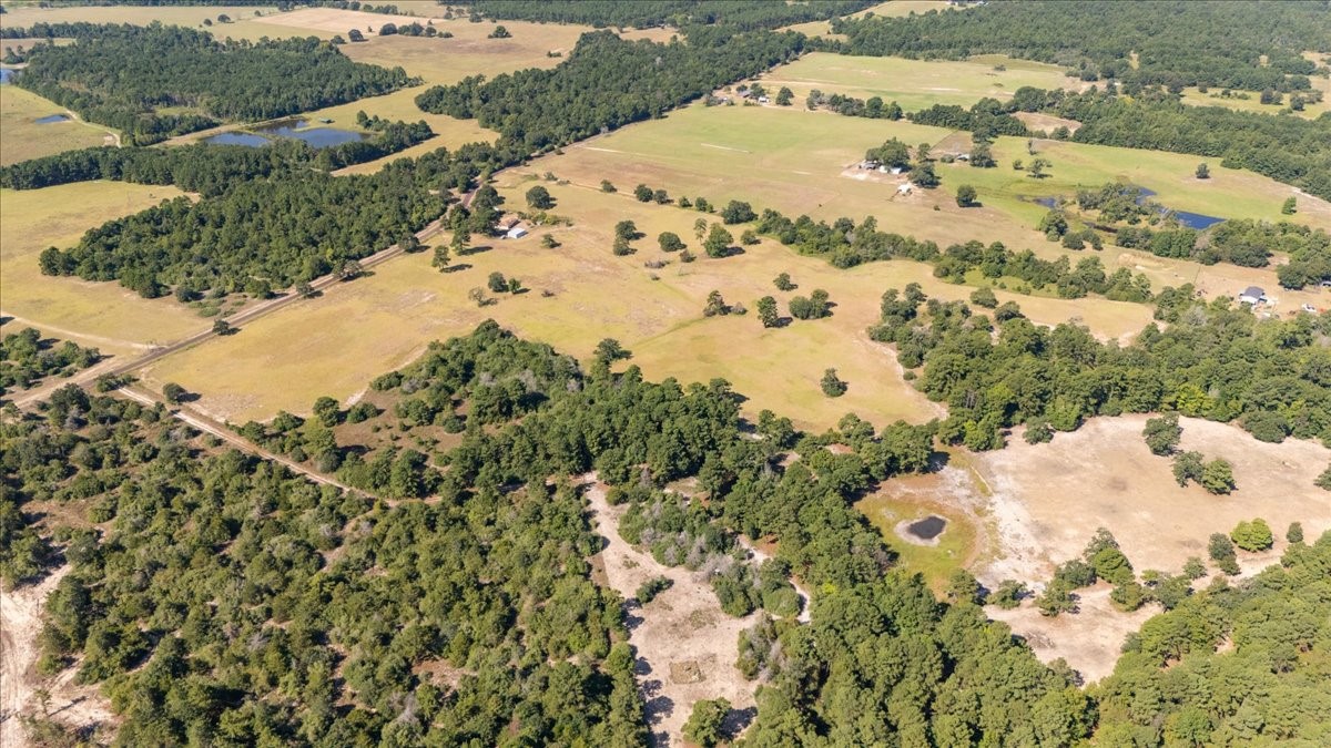 1000 County Road 1208