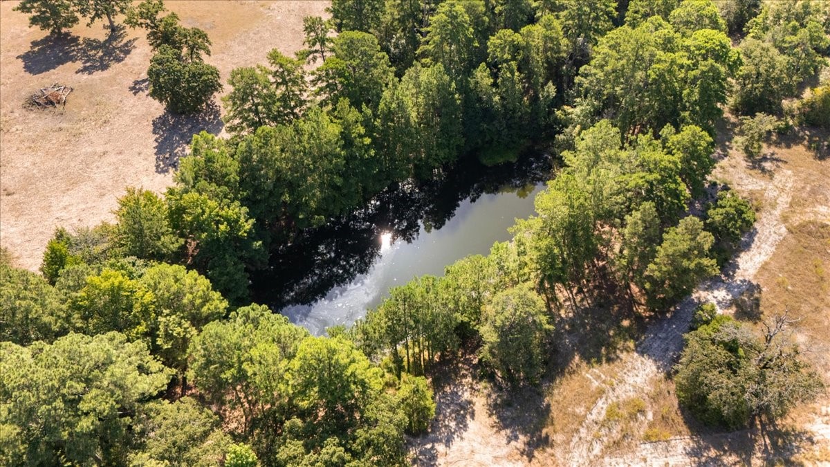 1000 County Road 1208