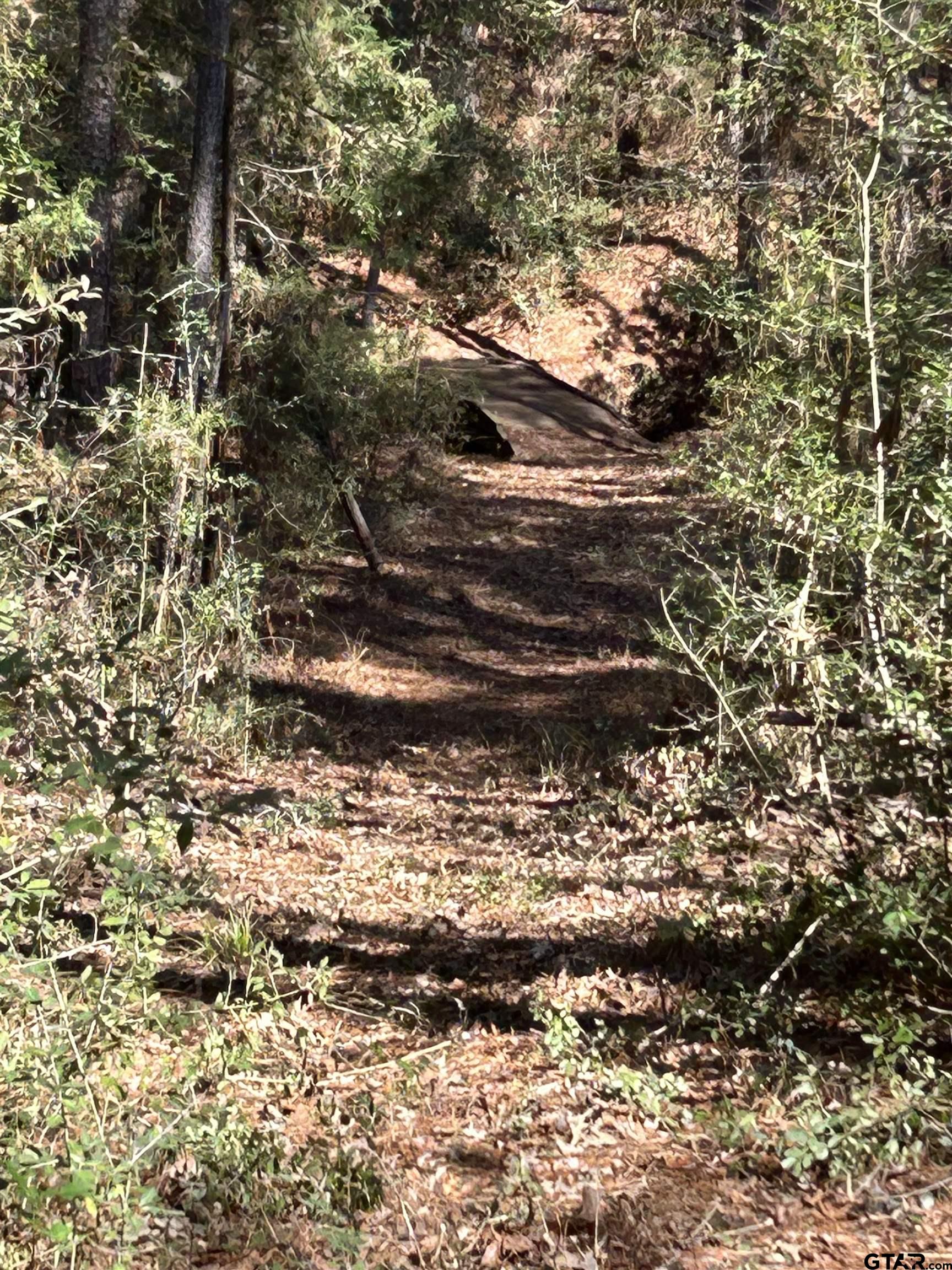 14305 S State Hwy 19