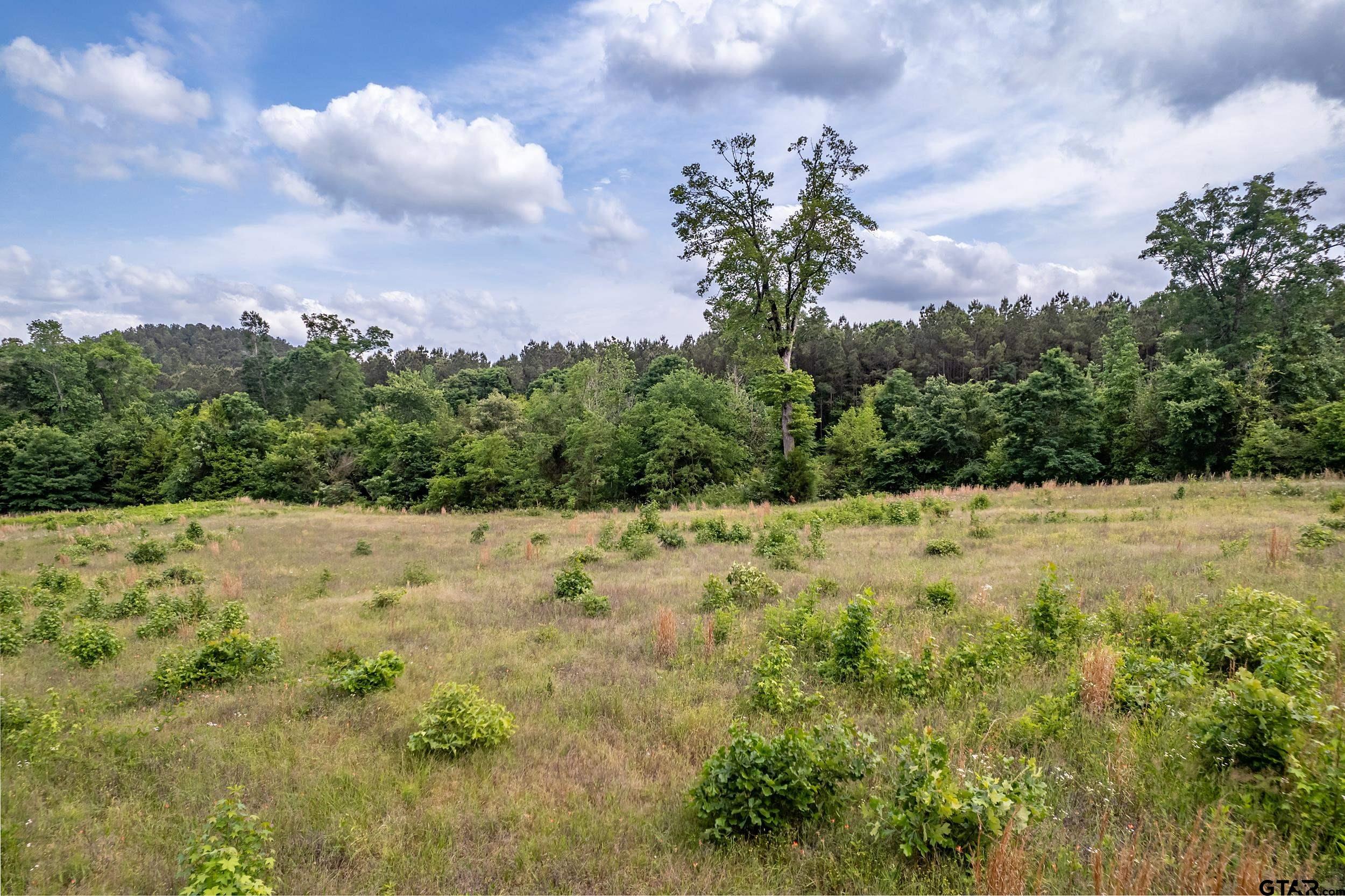 TBD Red Cedar Rd