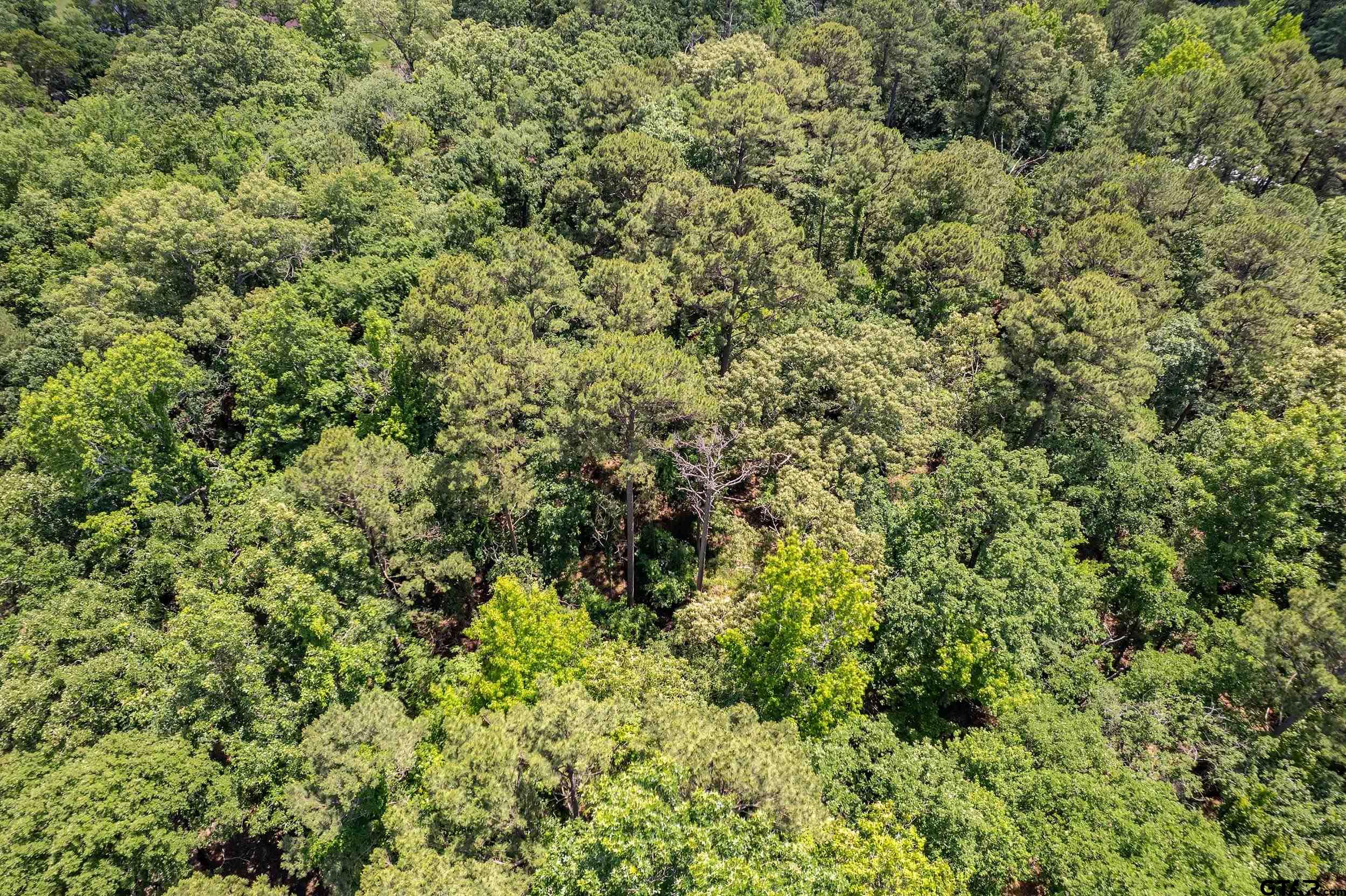 14677 County Road 2337