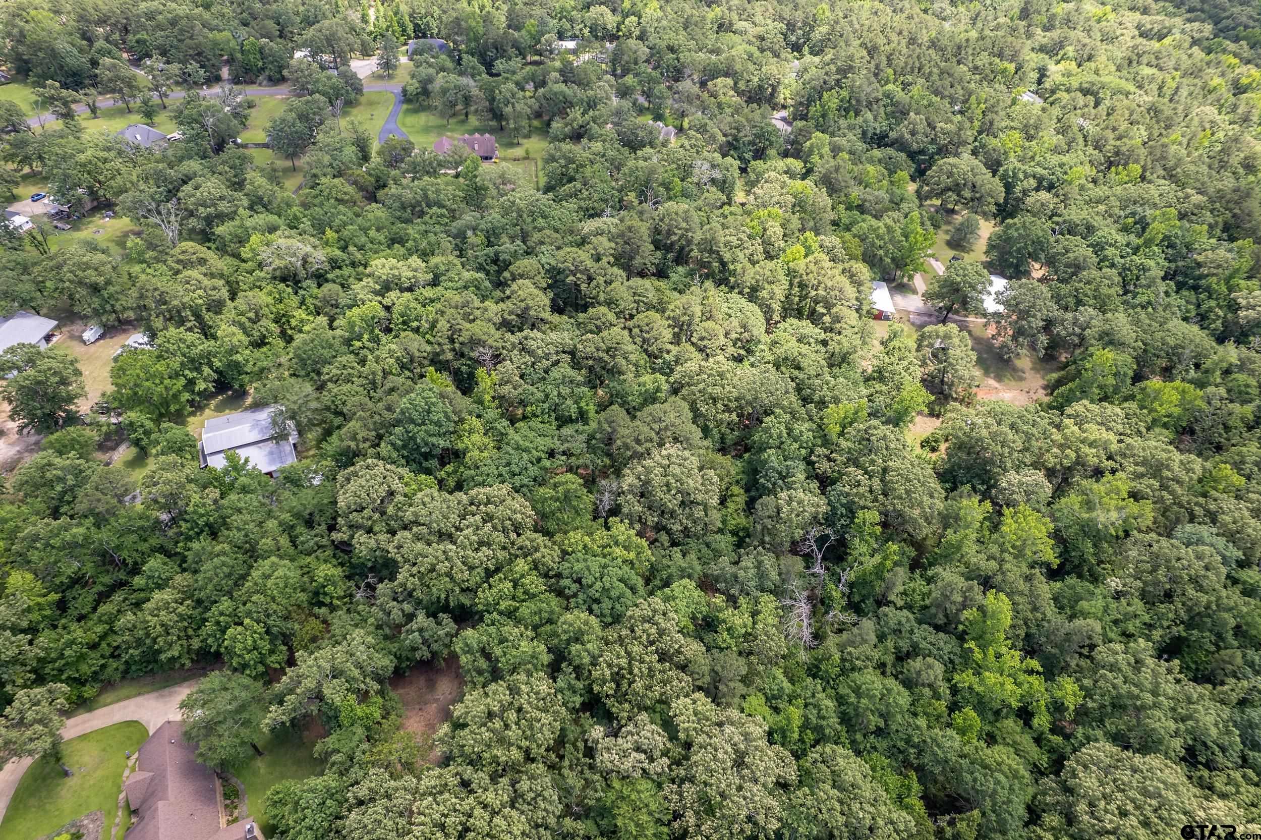 14677 County Road 2337