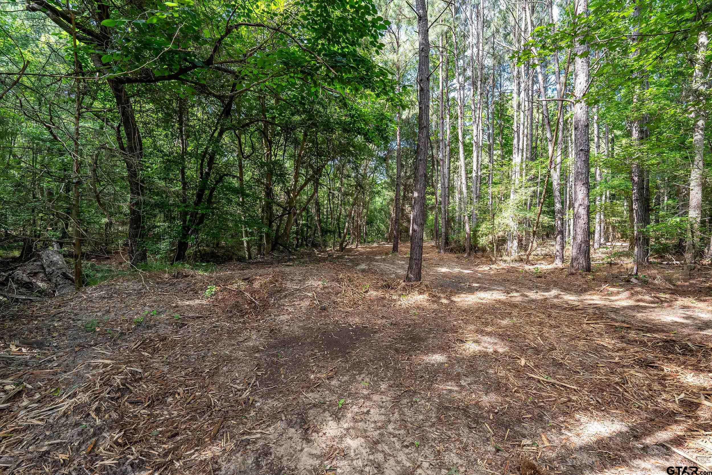 3466 County Road 4305