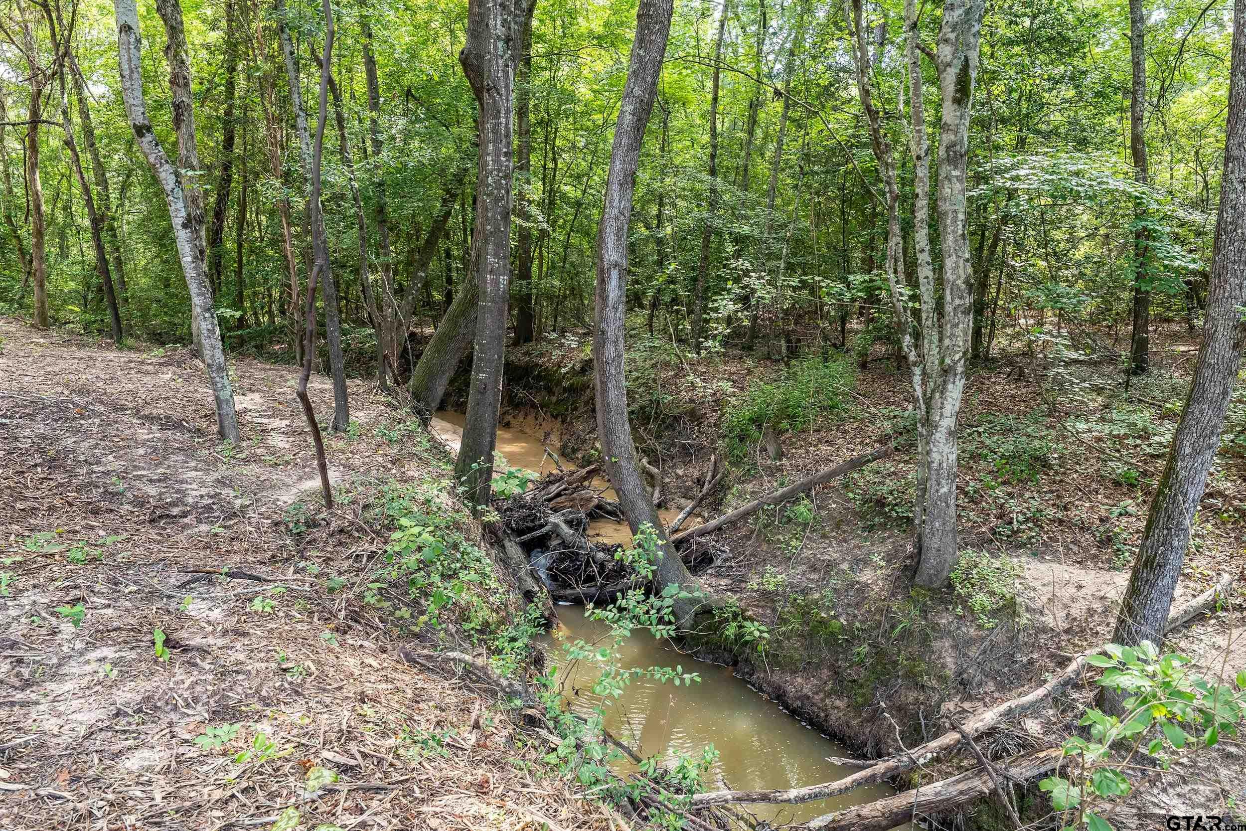 3466 County Road 4305