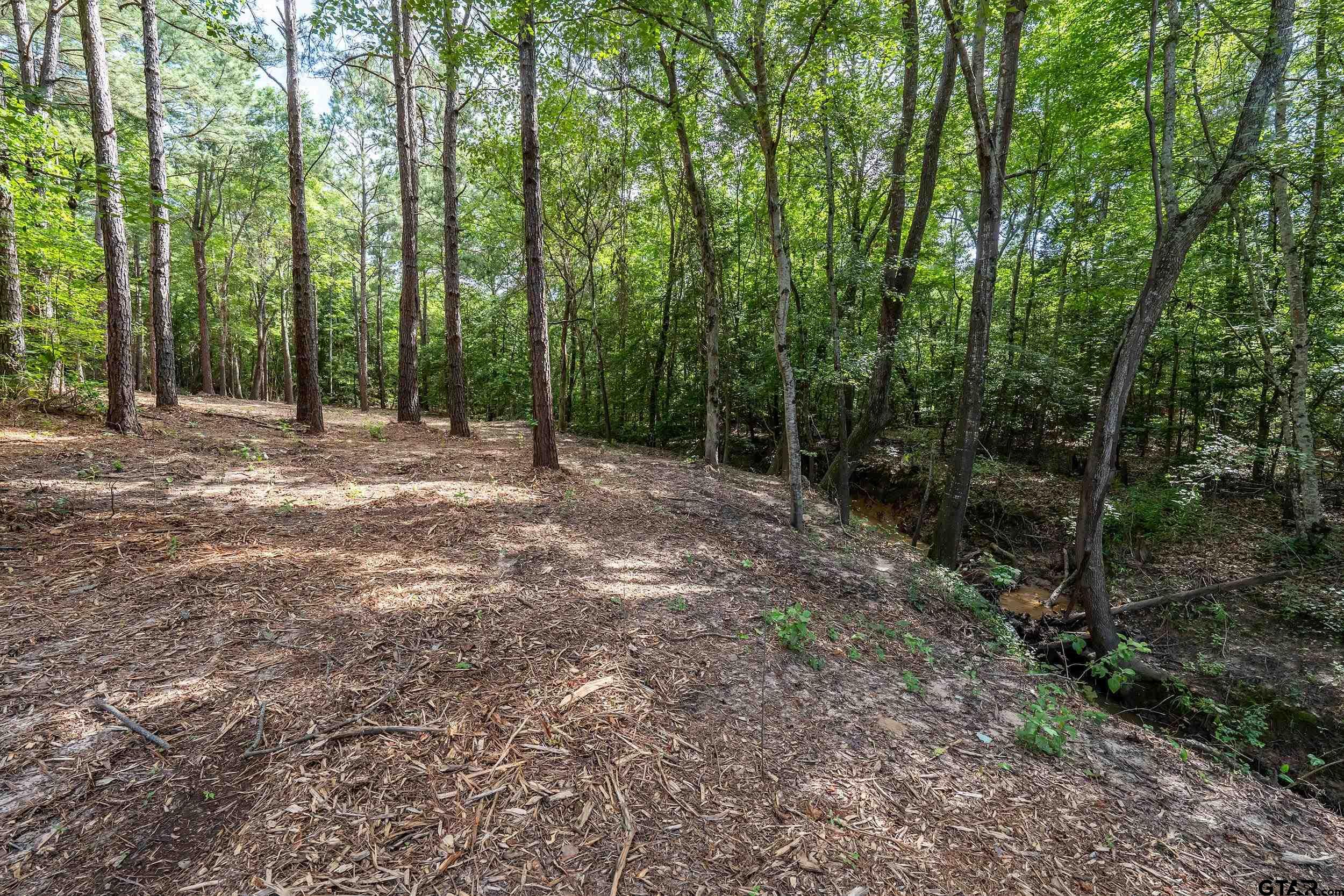 3466 County Road 4305