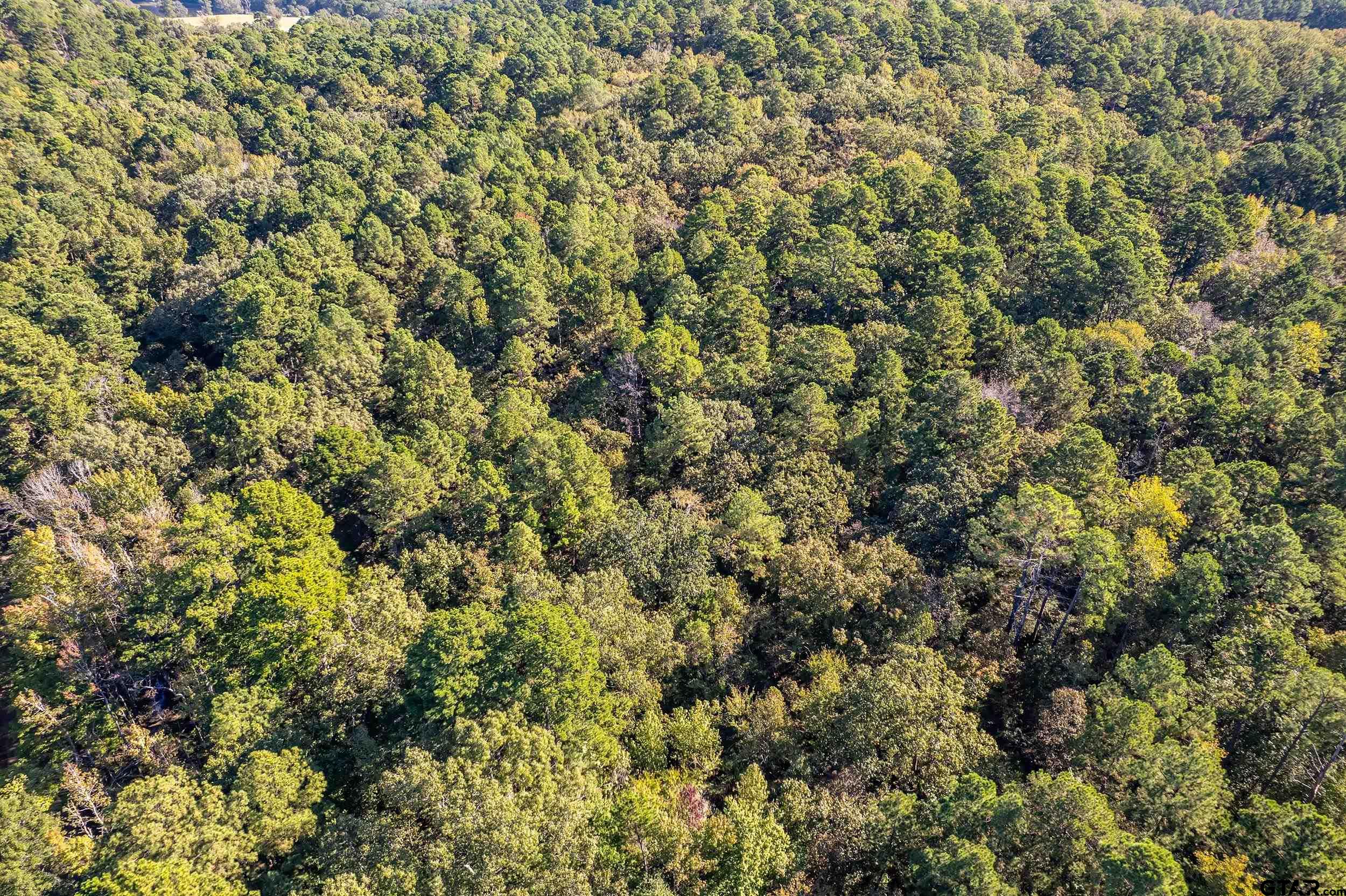 000 Sycamore Rd E/Sid