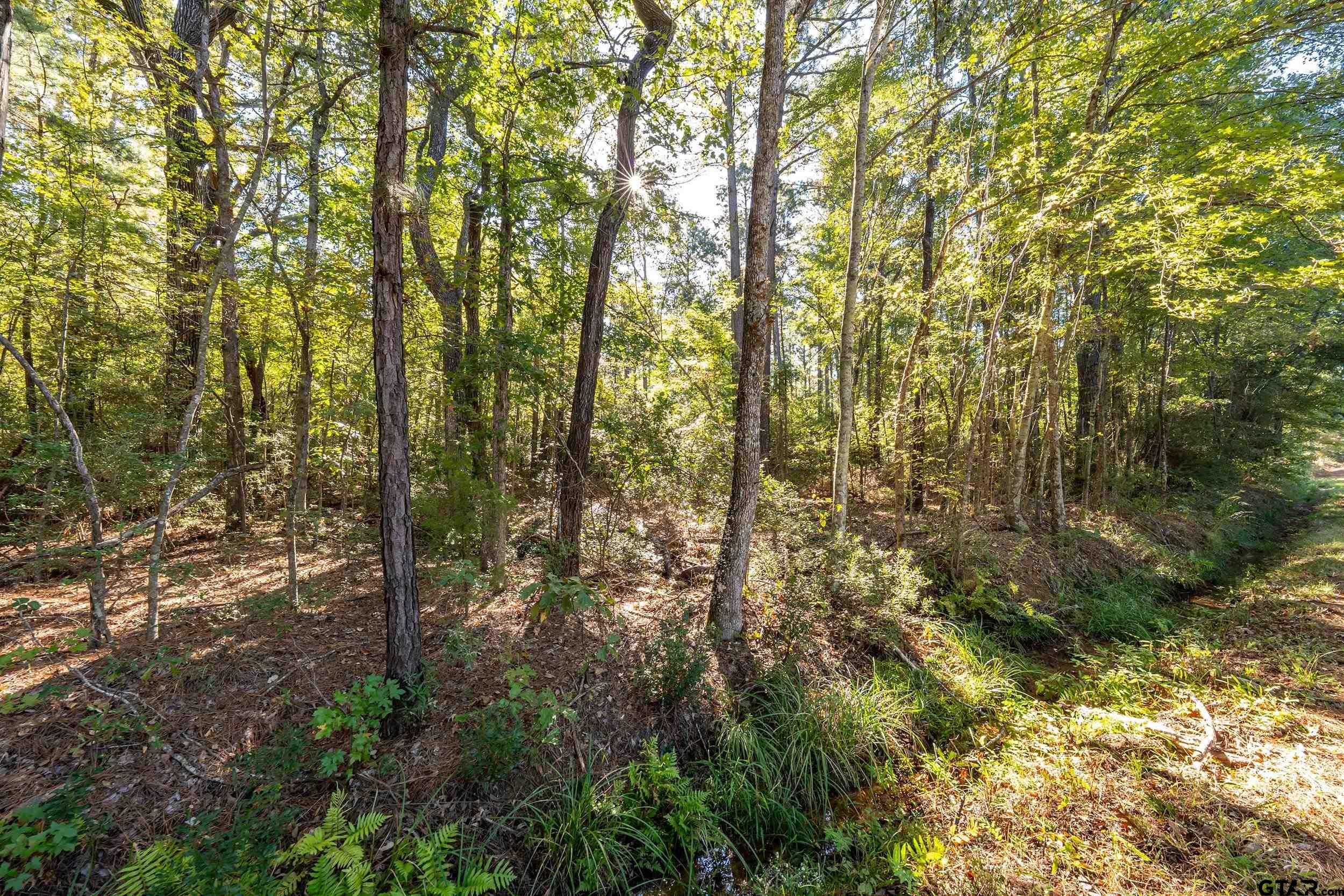 000 Sycamore Rd E/Sid