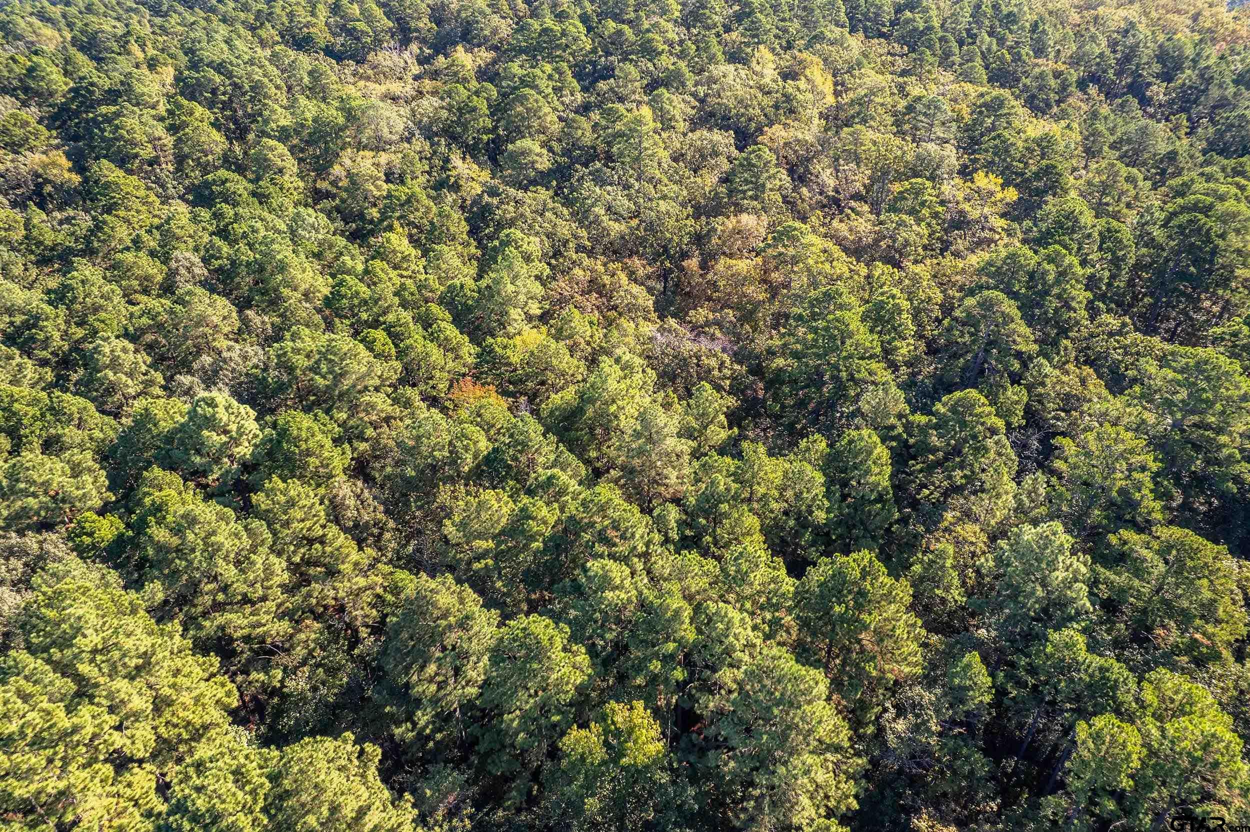 000 Sycamore Rd E/Sid