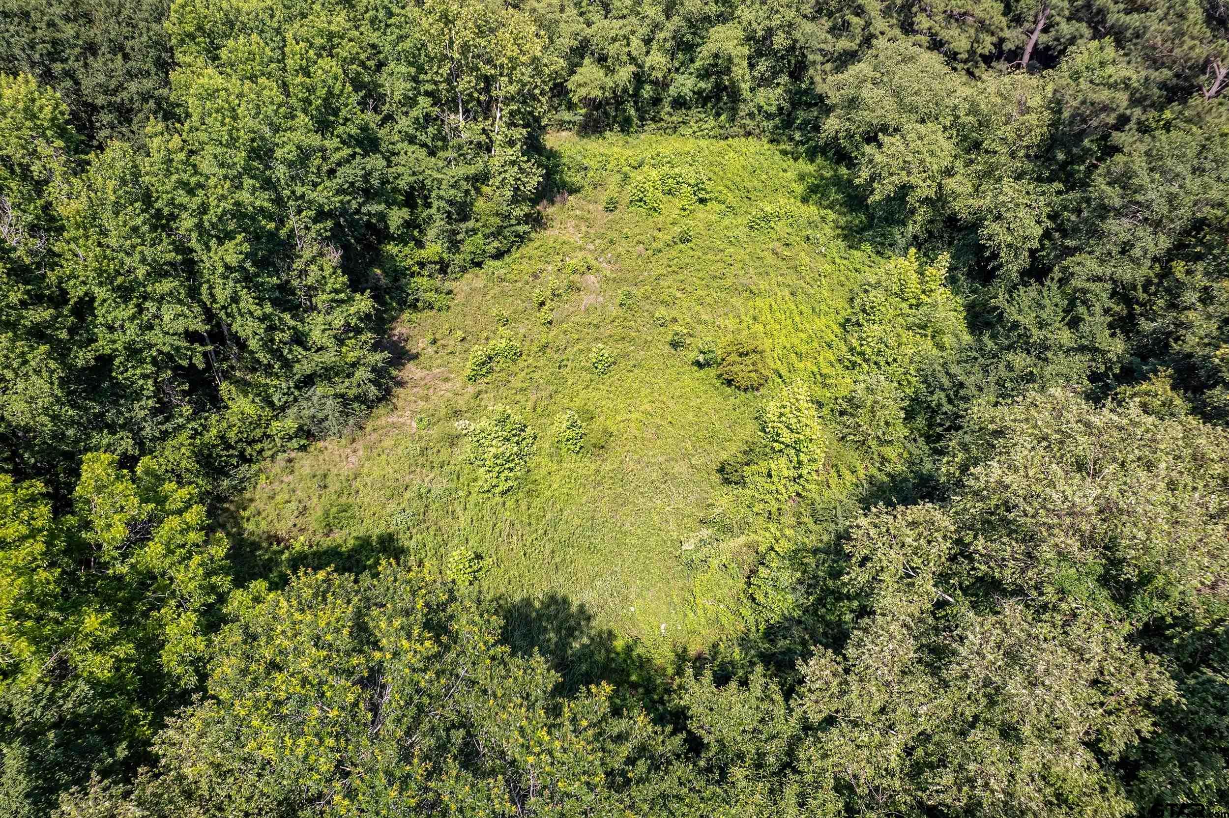 17823 County Road 132