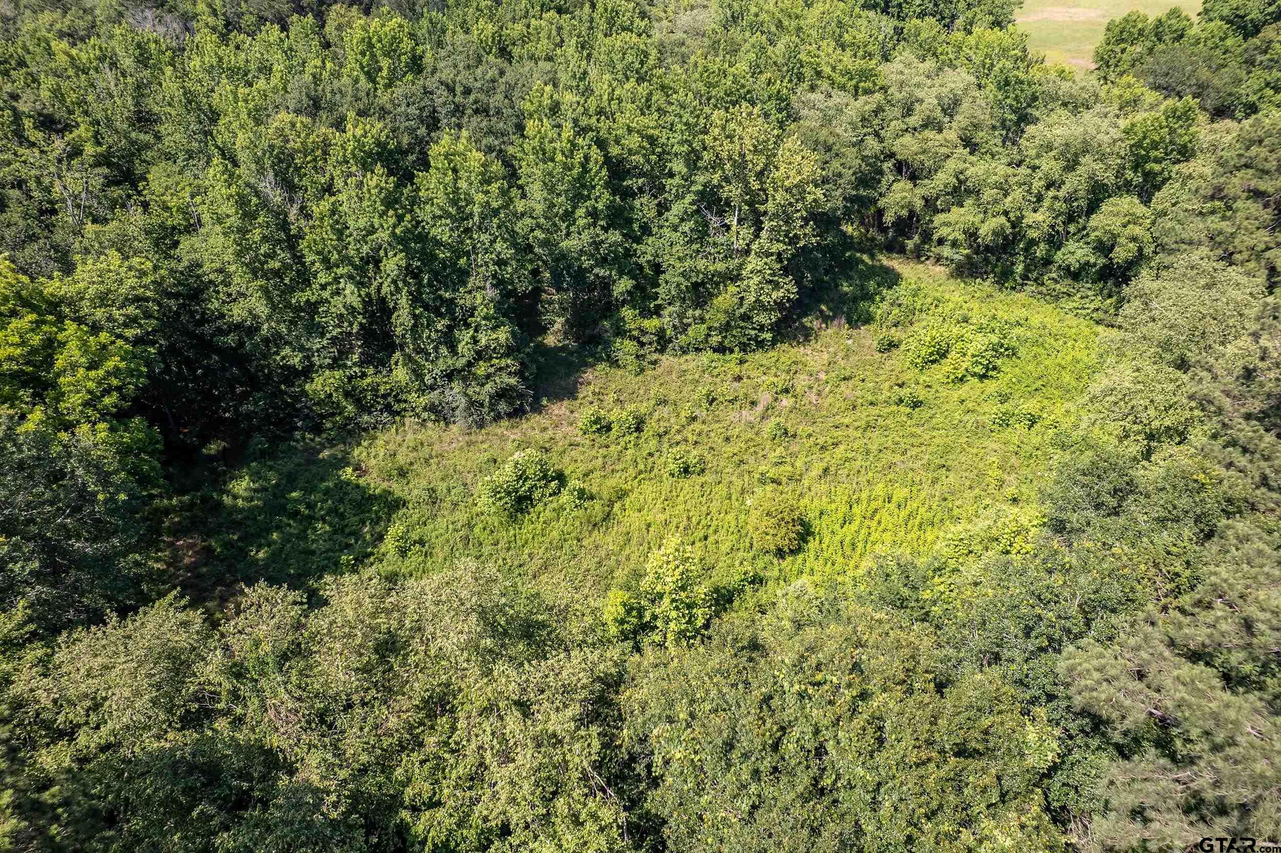 17823 County Road 132