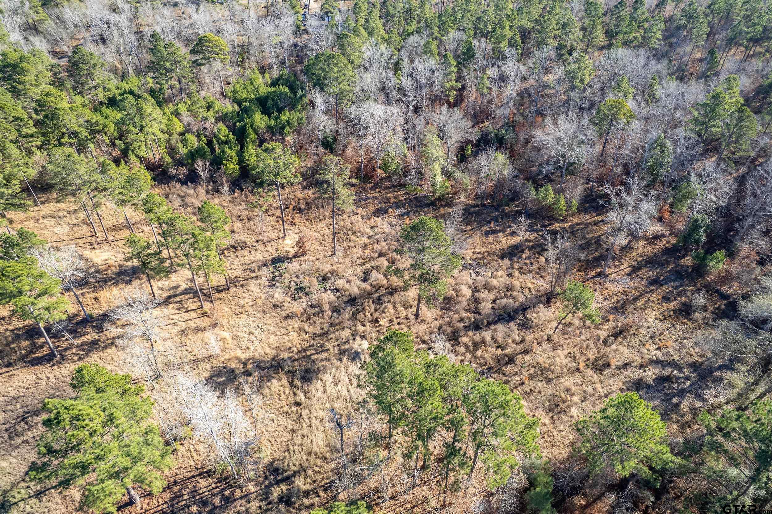 TBD County Road 1231