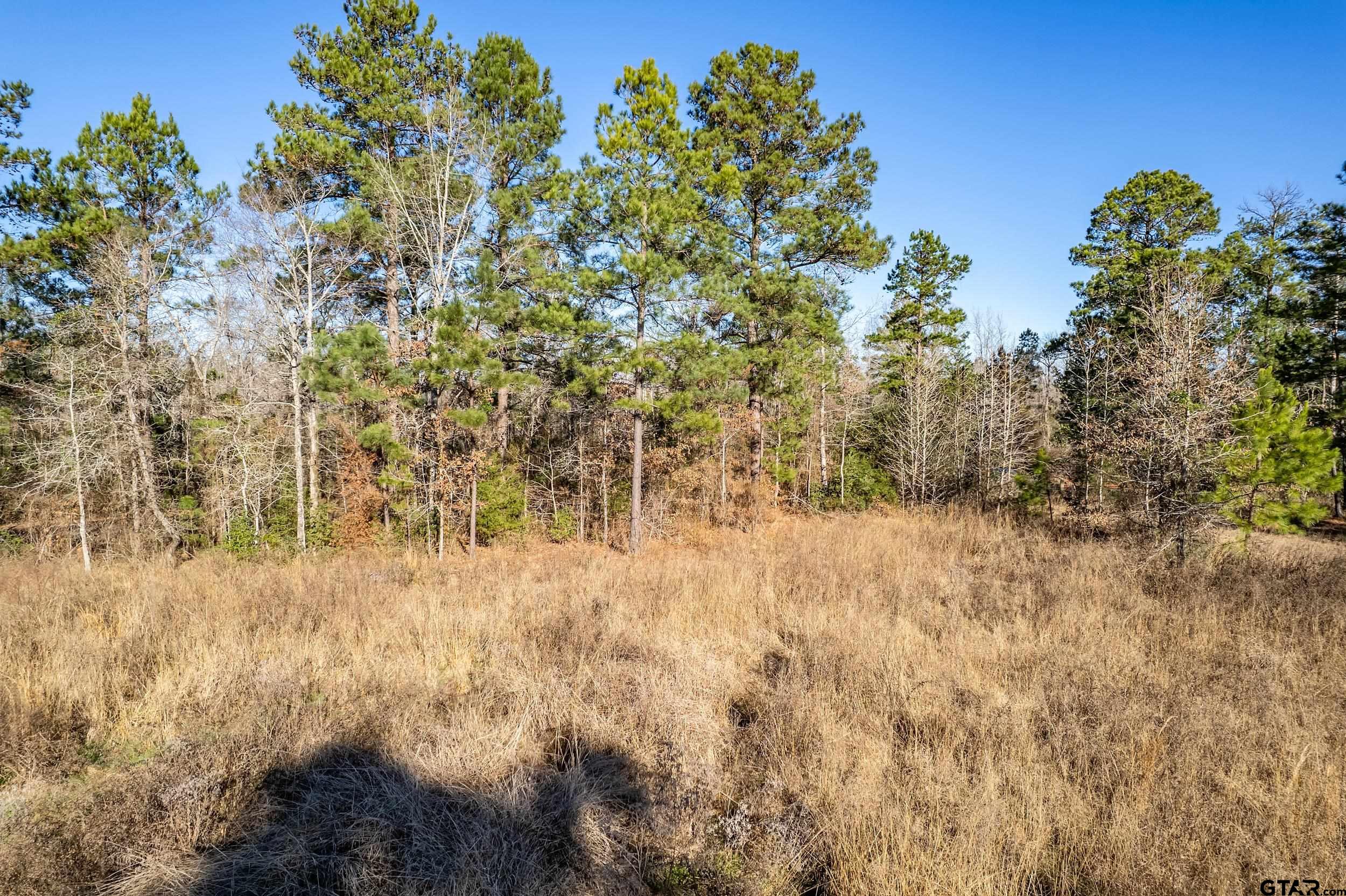 TBD County Road 1231