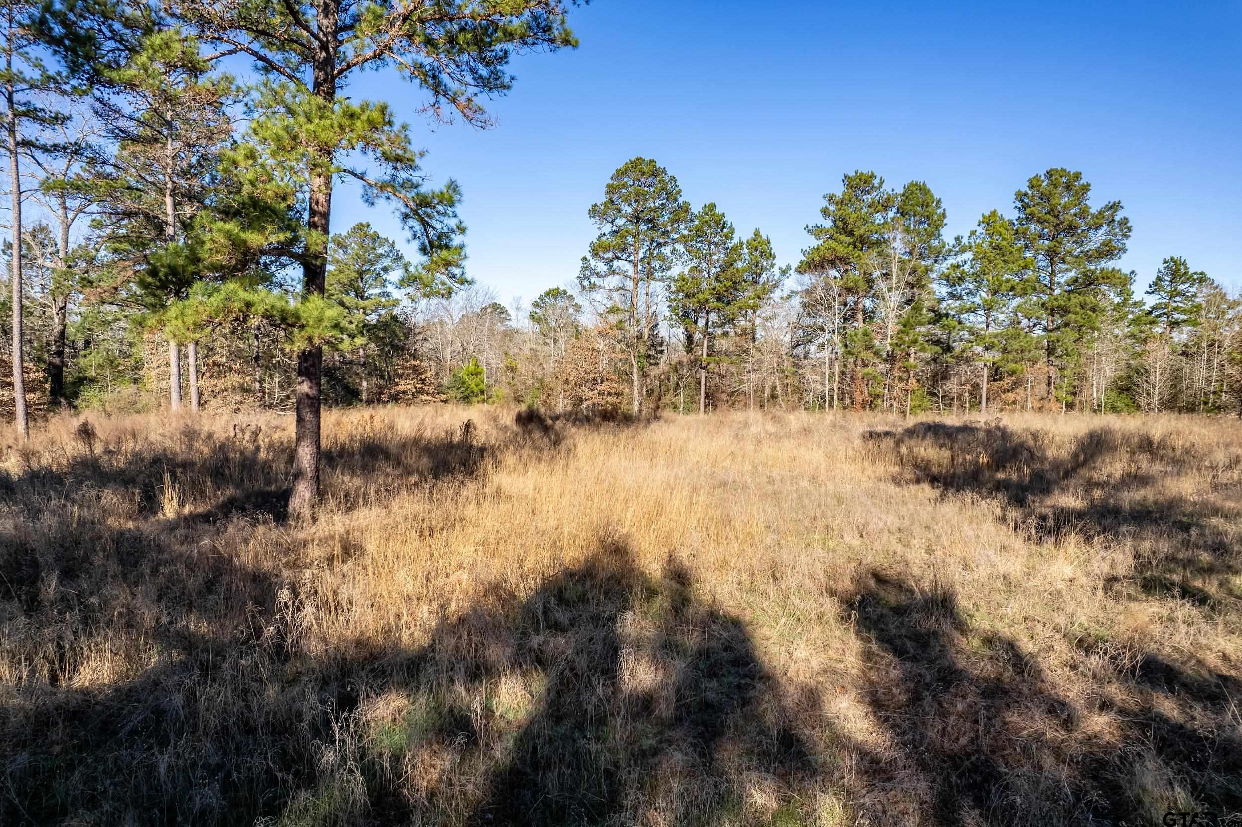 TBD County Road 1231