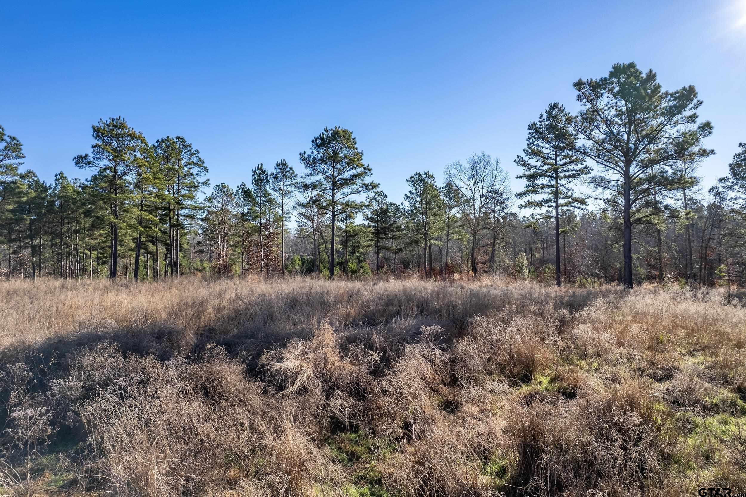 TBD County Road 1231