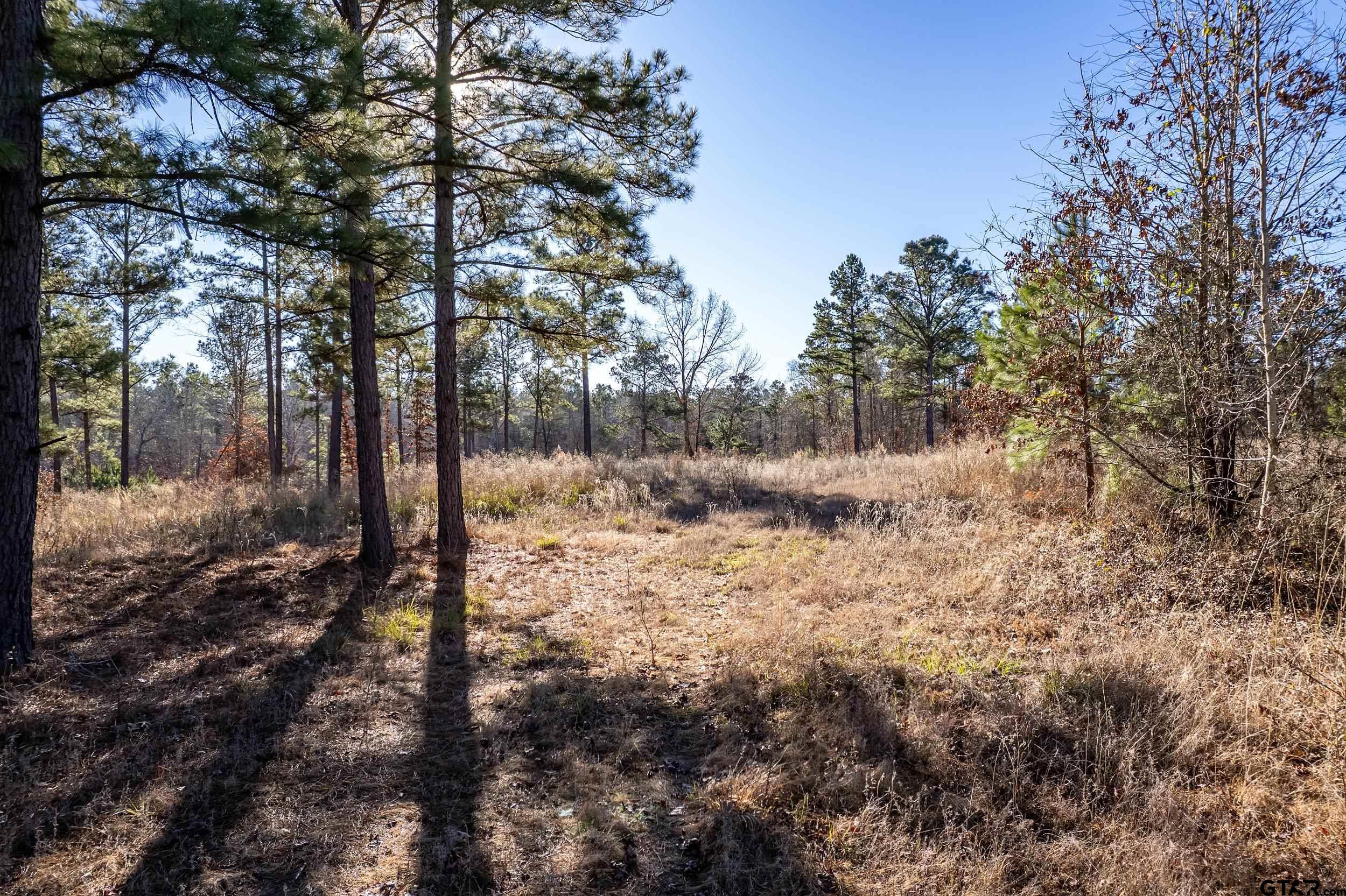 TBD County Road 1231