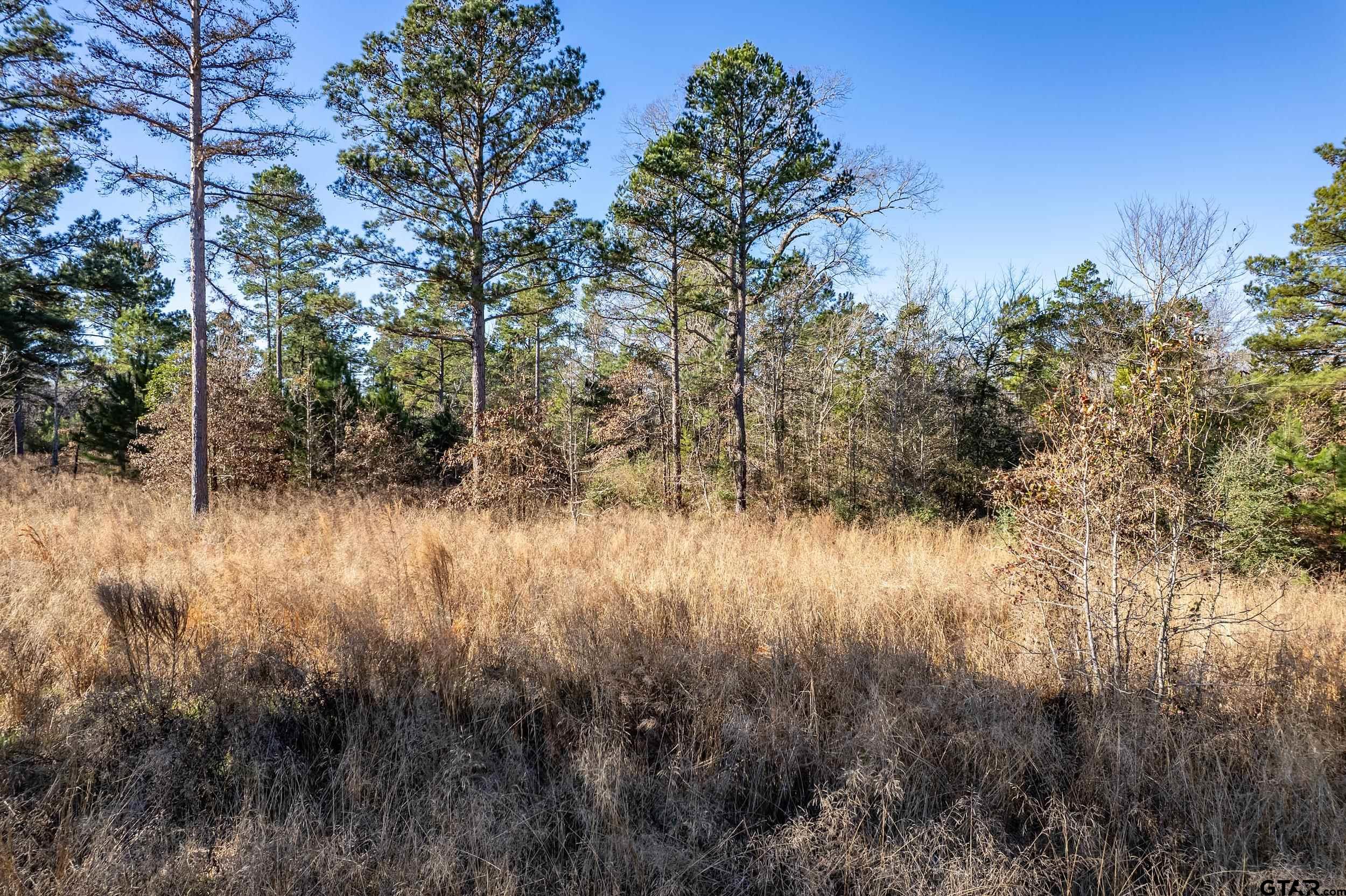 TBD County Road 1231