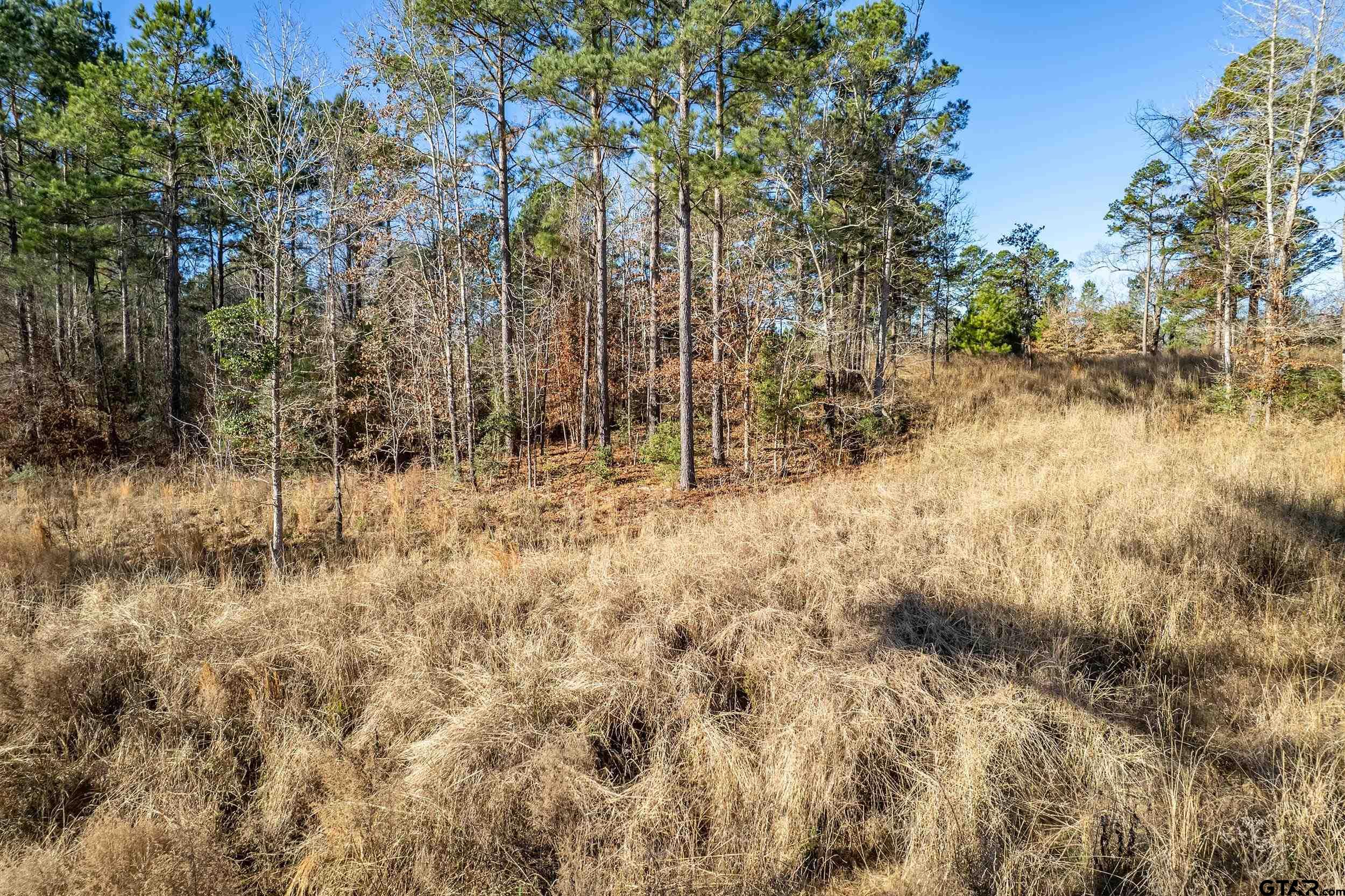 TBD County Road 1231