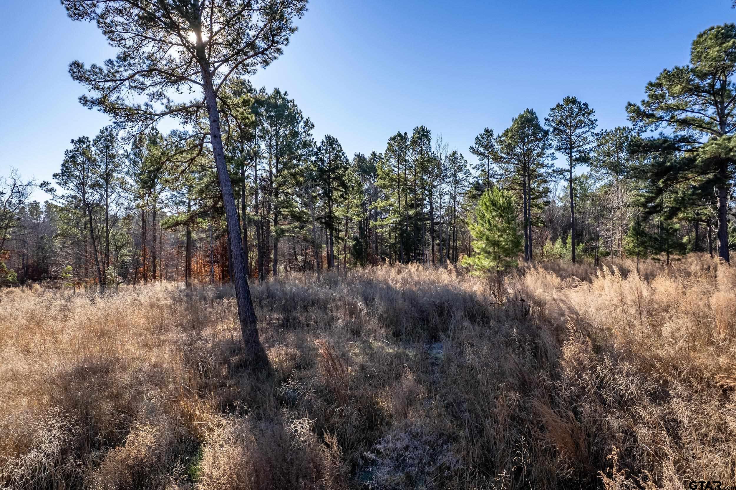 TBD County Road 1231